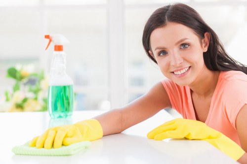 Professional one off cleaning in a bright living room