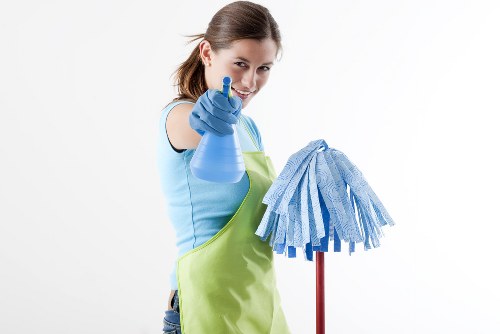 Professional rug cleaning in a bright living room