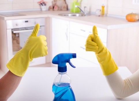 Deep cleaning supplies arranged for a home cleaning session