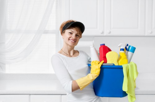 Carpet stain removal and maintenance tools