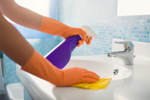 Window and fixture cleaning for a rental property