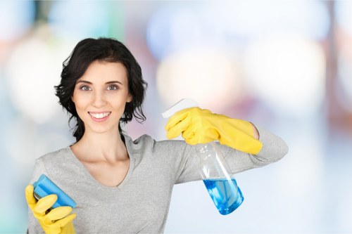Professional cleaning of a kitchen at the end of tenancy