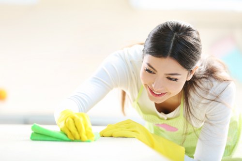 Floor and baseboard deep cleaning in a modern home