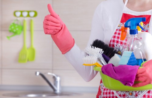 Professional house cleaning tools arranged for deep cleaning