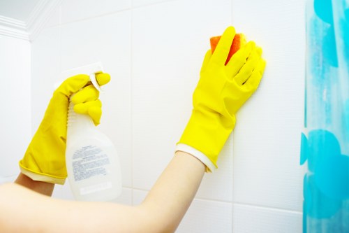 Deep domestic cleaning setup for a fresh household