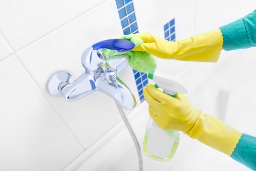 Clean glass windows with streak-free shine