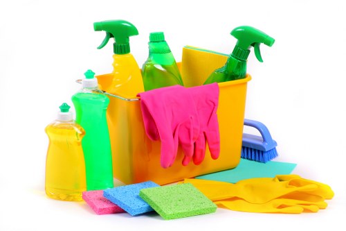 Professional domestic cleaning tools used for home maintenance